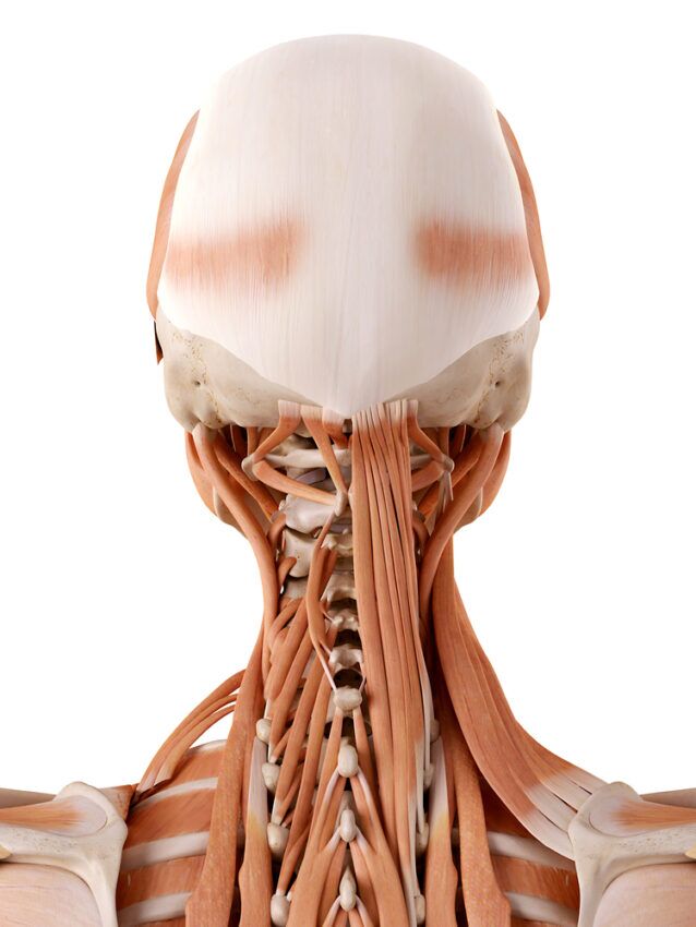 neck pain