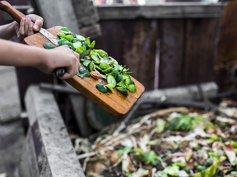 Mother_compost_composting