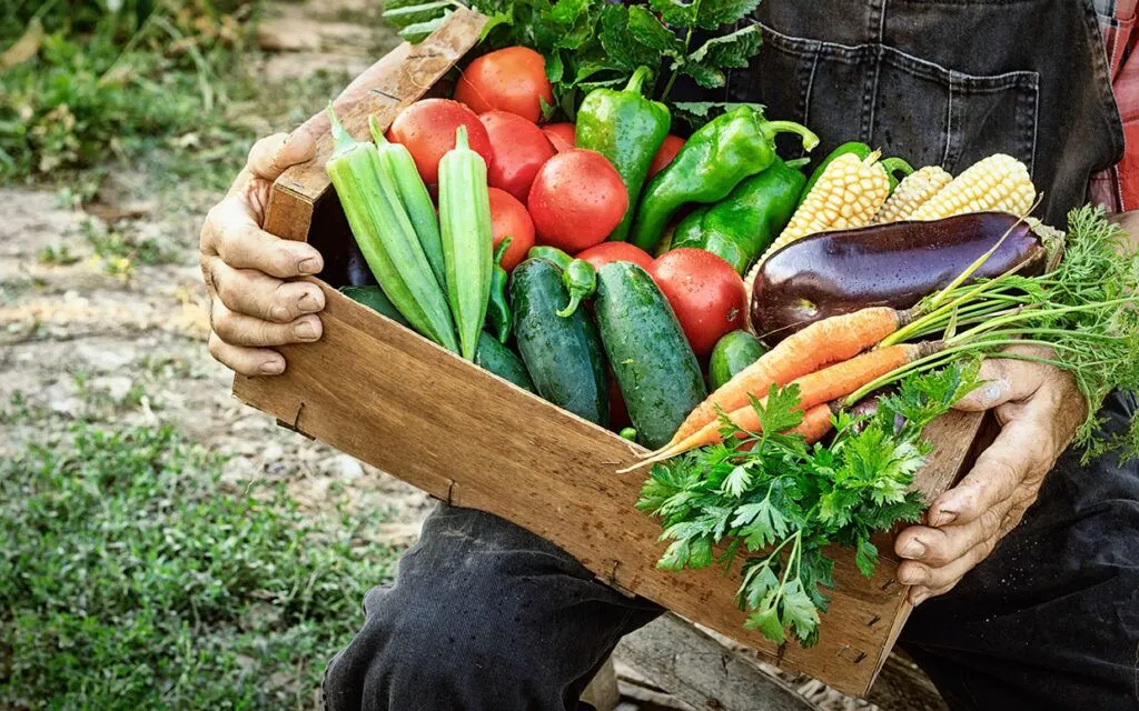 farmer-holding-csa-box-produce