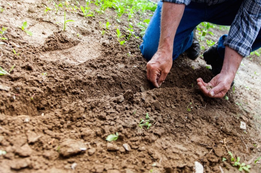 gardener's elbow wrist hand low back pain
