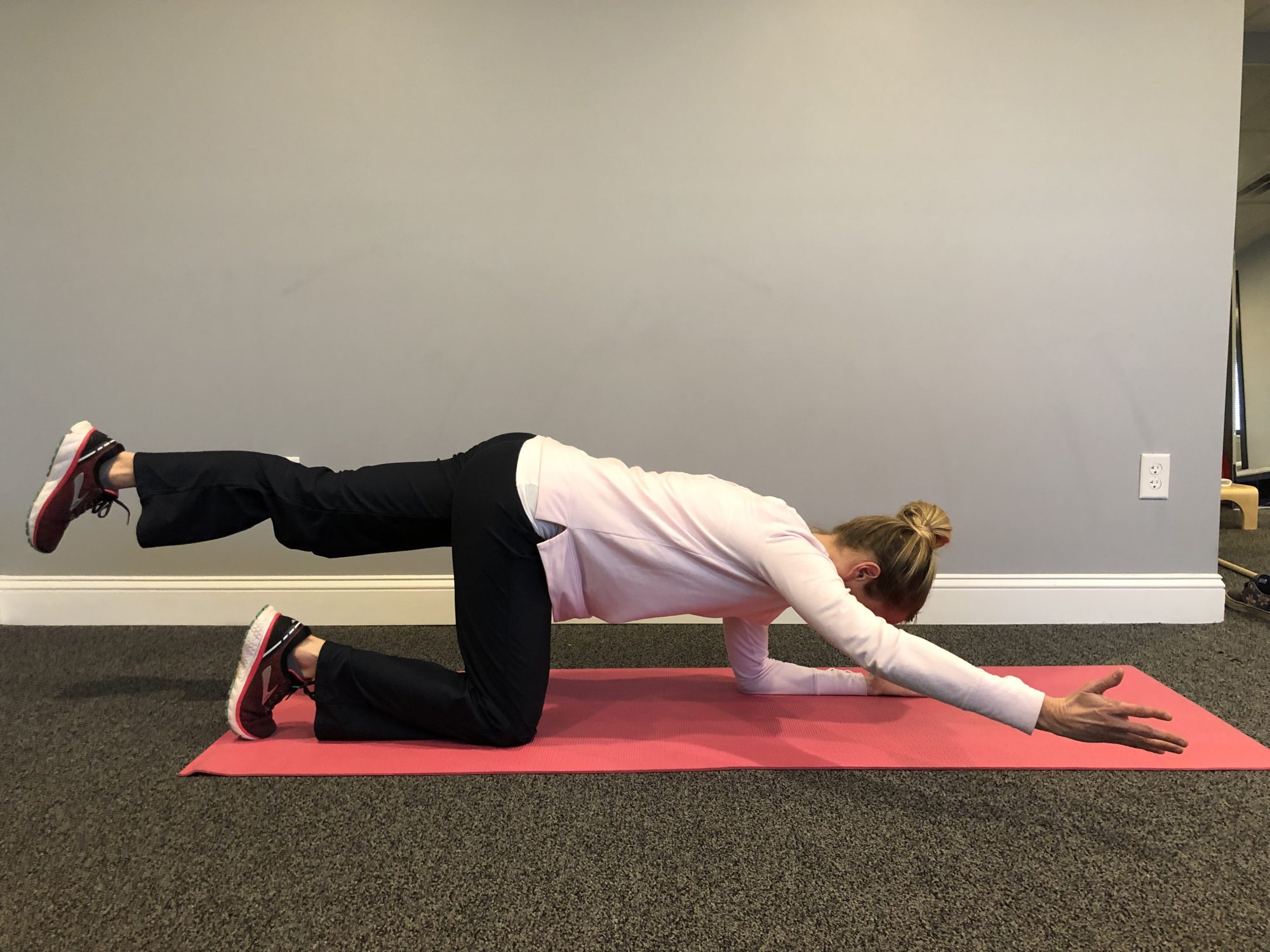 Rotary Core Control Exercises | Rebalance Physical Therapy and Wellness