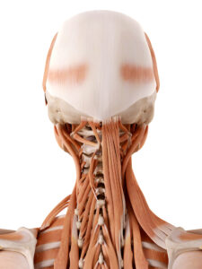 neck pain
